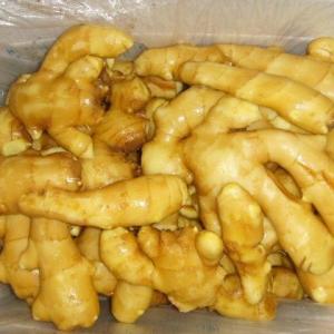 Wholesale 13kg: Ginger Fresh Ginger Export High Quality New Crop in Carton for Wholesale Fresh Ginger