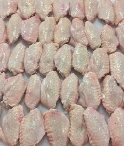 Wholesale chicken wing: Top Quality Frozen Chicken Feet / Frozen Chicken Paws /Chicken Wings