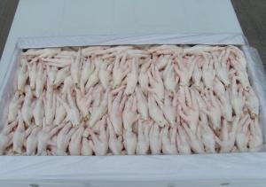 Wholesale black board: 100% Frozen Chicken Feet for Sale