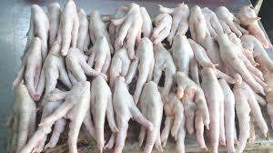 Wholesale slaughter: Frozen Chicken Feet Price Now Affordable