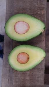 Wholesale wholesale: Fresh Avocados, Hass Avocado Cheap Wholesale Fruits South Africa, St. Petersburg, Netherlands
