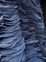 Split Wet Blue Cowhides 3