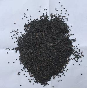 Wholesale others: Natural Black Sesame Seed