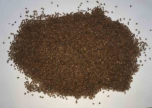 Wholesale time: Natural Brown Sesame Seed