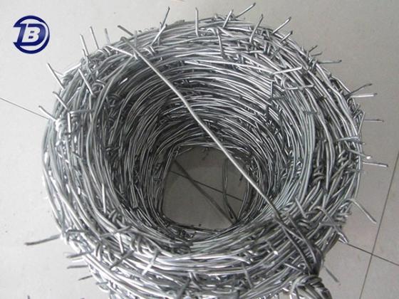 Cheap Price Galvanized Barbed Wire image