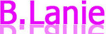 B.Lanie Industrial Co.,LTD Company Logo