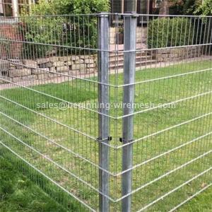 Wholesale construction wire mesh fence: Galvanized Weled Wire Mesh
