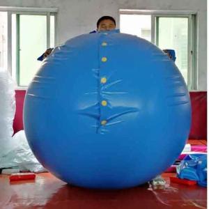 Wholesale d: Inflatable Blueberry Suit
