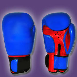 Wholesale boxing gear: Boxing Gloves