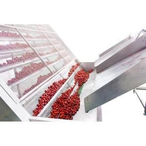 Wholesale c: 6 To 20t/ H Mesh Belt Drying Equipment High Temperature Dryer Anti Oxidation