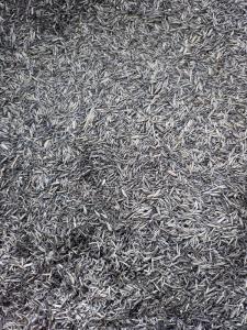 Wholesale charcoal: Rice Husk Charcoal