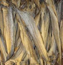 Wholesale frozen mackerel: Stockfish Heads