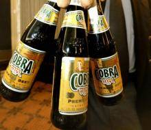 Sell Cobra Beer For Sale - Bottle and Canned