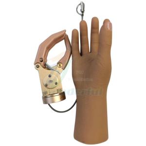 Wholesale pe shoe cover: Cable Control Mechanical Hand Prostheses for BE