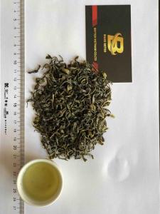 Wholesale green tea: Better Vietnam Green Tea