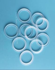 Wholesale valve seat inserts: PCTFE Valve Seal for Valve and Pump
