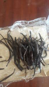Wholesale extracts: Madagascar Vanilla Beans