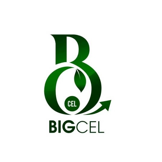 Bigcel Ltd Company Logo
