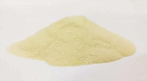 Wholesale oyster extract good price: Collagen Peptide