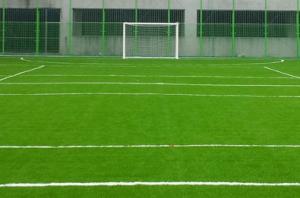 Wholesale Other Sports & Entertainment Products: Futsal Court Turf