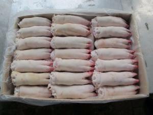 Wholesale frozen pork parts: Whole Frozen Pork Meat and Pork Feet and Pork Ears and Other Parts
