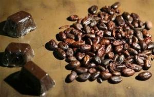 Wholesale chocolate: Hot Selling High Grade Organic Dried Cocoa Beans
