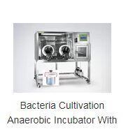 Wholesale incubators: Biochemical Incubator