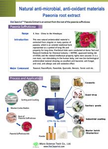 Wholesale hard uv ink: Paeonia Root Extract (Natural Anti-microbial,Anti-oxidant Material,Cosmetic Ingredient,Raw Material)