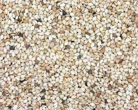 Wholesale sesame oil: Sesame Seeds