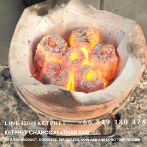 Wholesale coconut shell charcoal: Coconut Shell Charcoal Briquette for Barbecue (BBQ)