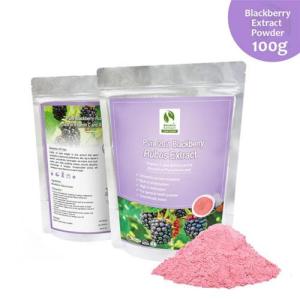 Wholesale fruit pudding: Health Food - Blackberry (Rubus) Standardized Extract Powder