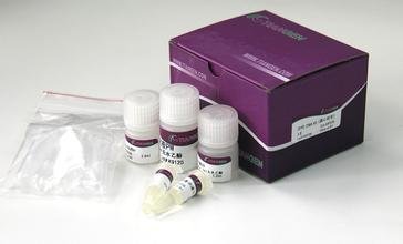 TIANamp Micro DNA Kit Isolation of DNA TIANGEN 50times(id:9857104 ...