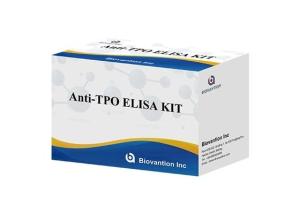 Wholesale elisa kits: Anti Thyroid Peroxidase Elisa Test Kit Anti TPO Antibody Test Kits