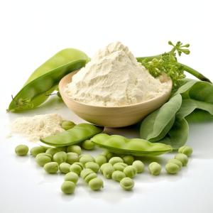 Wholesale concentrated soy protein: Organic Certificate Pea Protein with Factory Wholesale Price