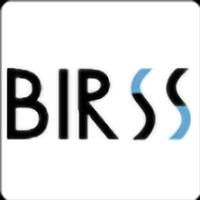Shenzhen Birss Houseware Co.,Ltd