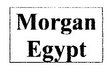 Morgan Import &Export.Egypt Company Logo