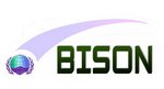 Bison Industrial Limited Company Logo