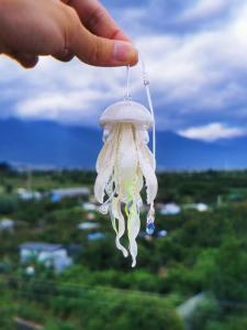 Wholesale pendant: Livianla Jewelry Handmade Custom Jellyfish Earrings and Seed of Soul Pendant