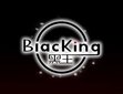 BlacKing Mould Co.,Ltd Company Logo