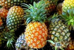 Wholesale Pineapples: Fresh Pineapples
