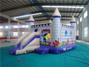Wholesale bouncer: Snow White Tarpaulin 64M Inflatable Bouncer Combo