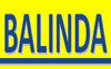 Balinda Technology Co.,LTD Company Logo