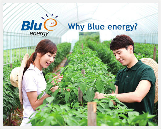 Why Blue Energy?