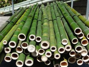 Wholesale bamboo pole: Wholesale Natural Lean the Tree Sticks Bulk Large Bamboo Stake Bamboo Poles Whatsapp +1 8433802276