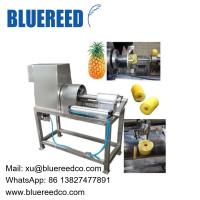 Sell Pineapple Peeling Coring Machine