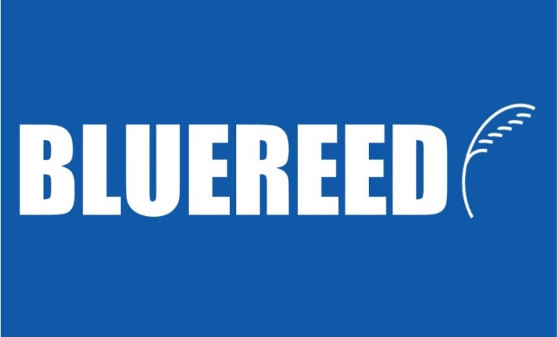 Bluereed Limited Company Logo