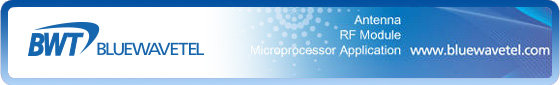 BlueWaveTel Co., Ltd.
