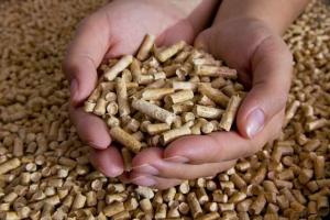 Wholesale Other Energy Related Products: Quality Wood Pellets for Sale >>>>WhatsApp +31647227862