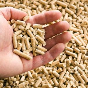 Wholesale feed additive: EN Plus-A1 6mm/8mm Fir, Pine, Beech Wood Pellet in 15kg Bags