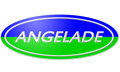 Angelade Auto Parts Co., Ltd. Company Logo